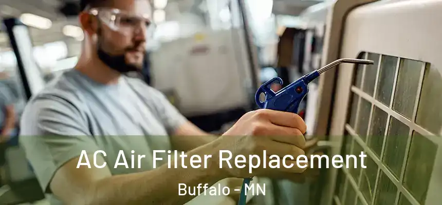  AC Air Filter Replacement Buffalo - MN
