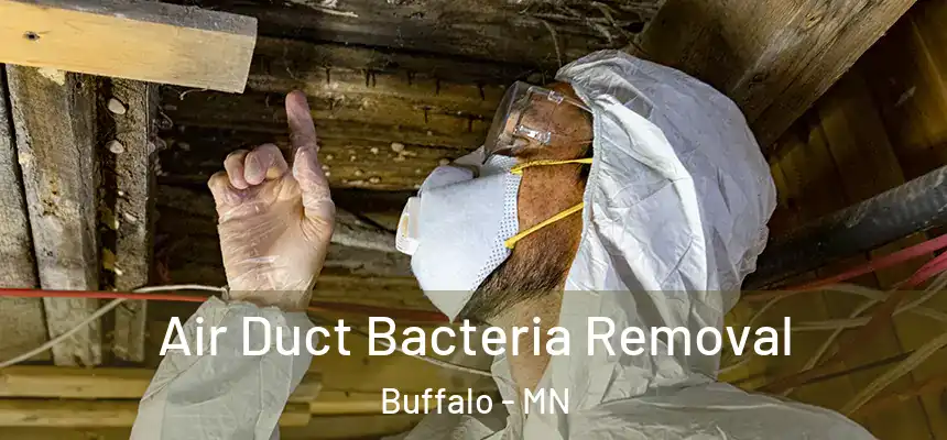  Air Duct Bacteria Removal Buffalo - MN