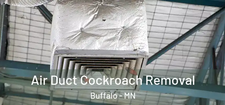  Air Duct Cockroach Removal Buffalo - MN