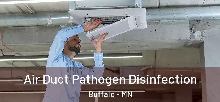  Air Duct Pathogen Disinfection Buffalo - MN