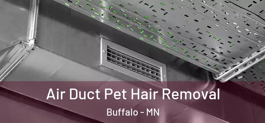  Air Duct Pet Hair Removal Buffalo - MN