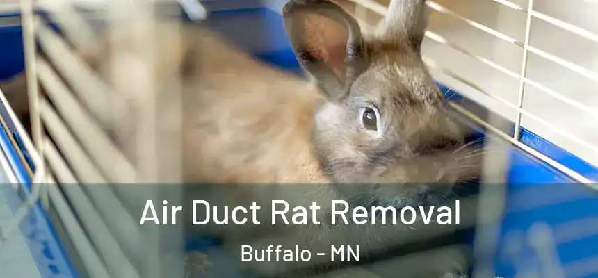  Air Duct Rat Removal Buffalo - MN