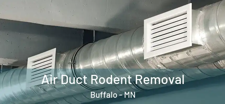 Air Duct Rodent Removal Buffalo - MN