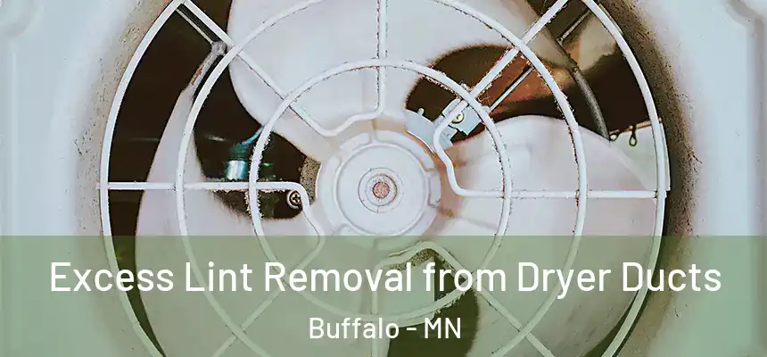  Excess Lint Removal from Dryer Ducts Buffalo - MN