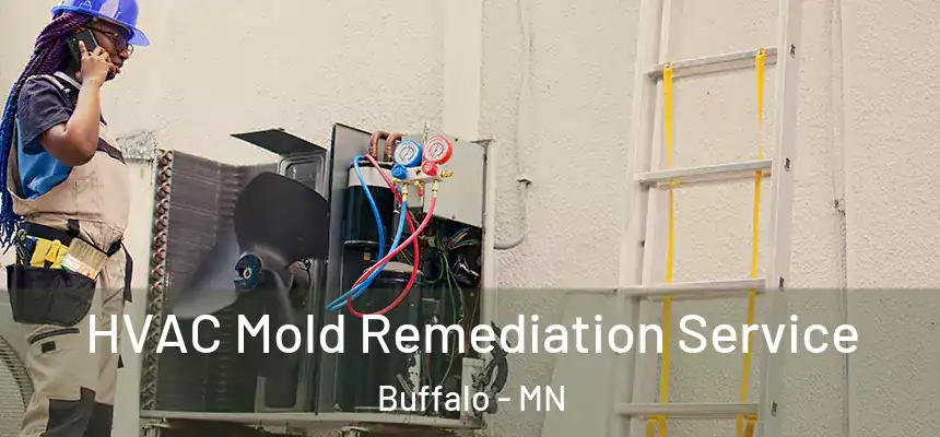  HVAC Mold Remediation Service Buffalo - MN