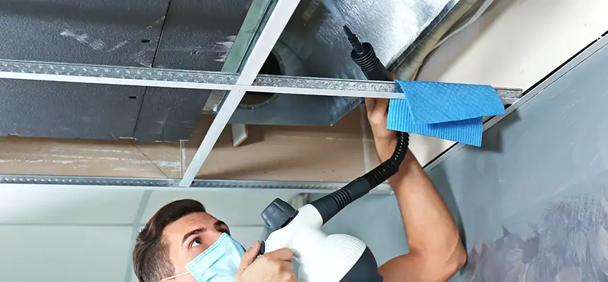 Our Air Duct Rodent Removal Services in Buffalo, MN