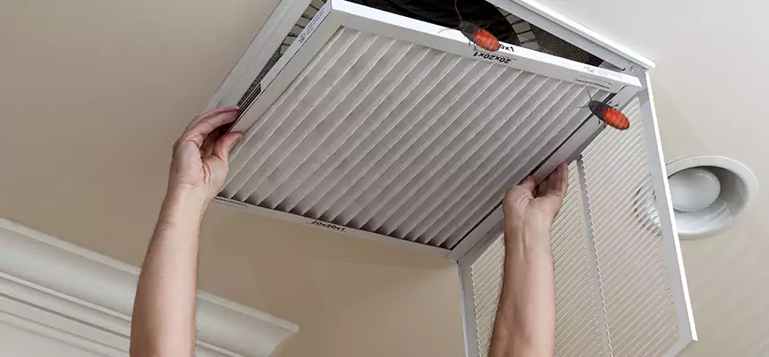 Our Insect Removal from Air Ducts Services in Buffalo, MN