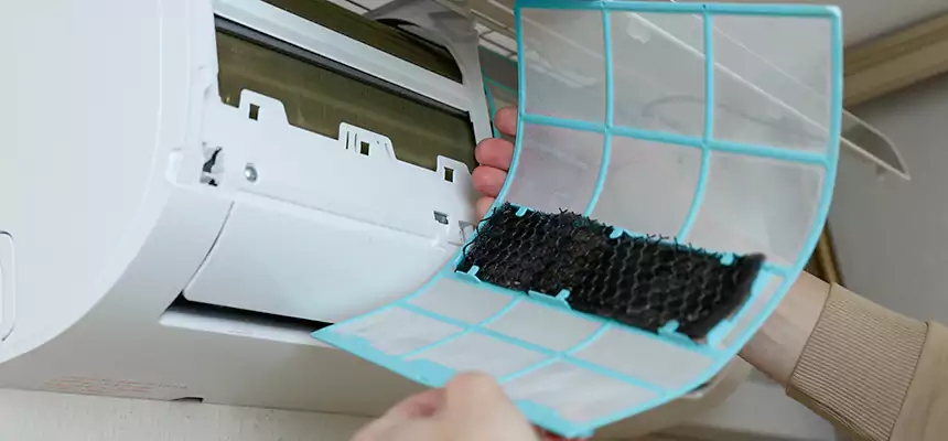 Gentle Ductwork Odor-Control Pet Dander Duct Cleaning in Buffalo, MN