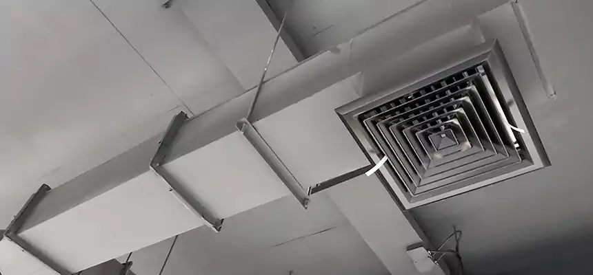 Our Rodent Droppings In Vents Services in Buffalo, MN