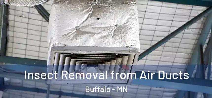  Insect Removal from Air Ducts Buffalo - MN