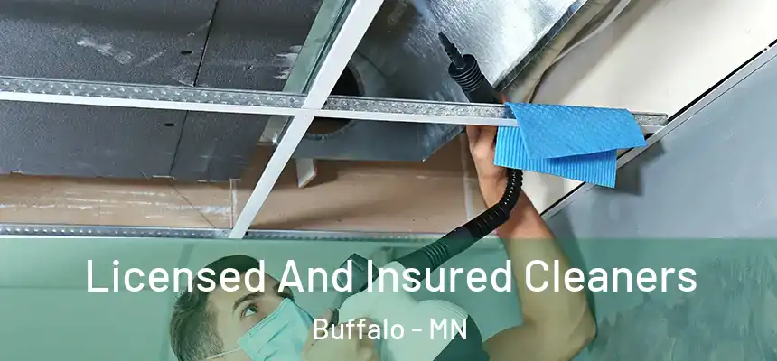  Licensed And Insured Cleaners Buffalo - MN