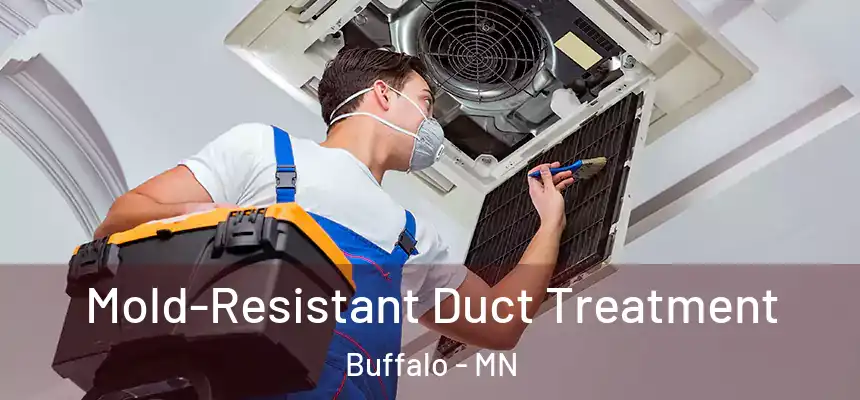  Mold-Resistant Duct Treatment Buffalo - MN