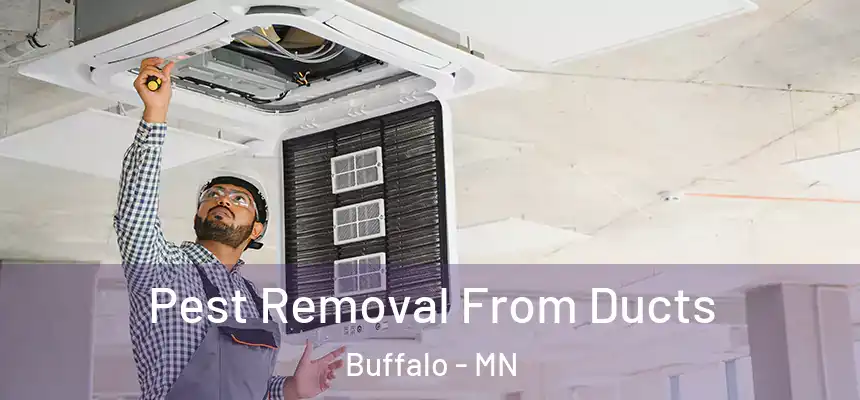  Pest Removal From Ducts Buffalo - MN