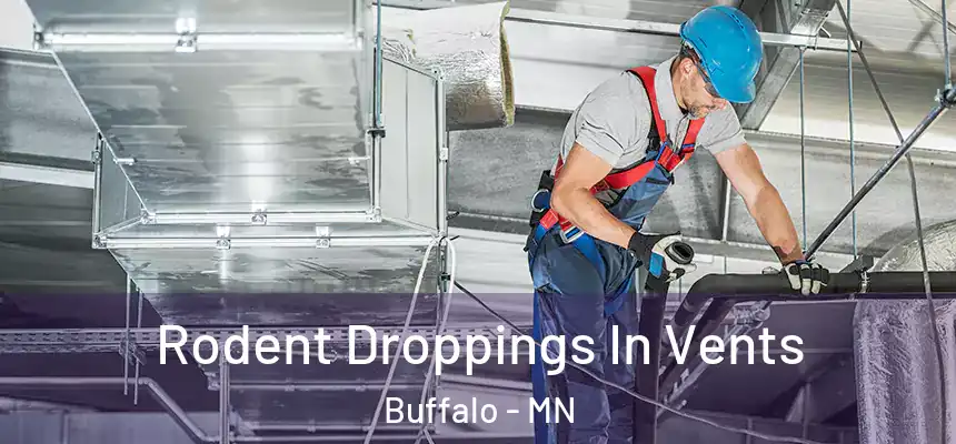  Rodent Droppings In Vents Buffalo - MN