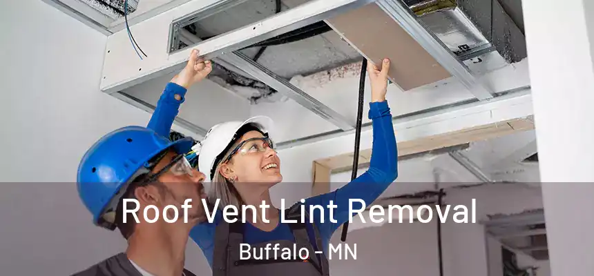  Roof Vent Lint Removal Buffalo - MN