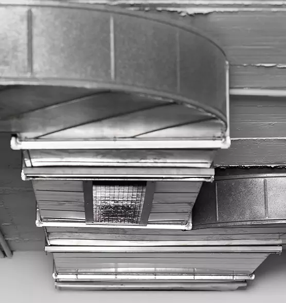 Professional Air Duct Pest Removal in Buffalo, MN