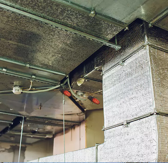 Why Homeowners & Businesses Trust Us in Buffalo, MN?