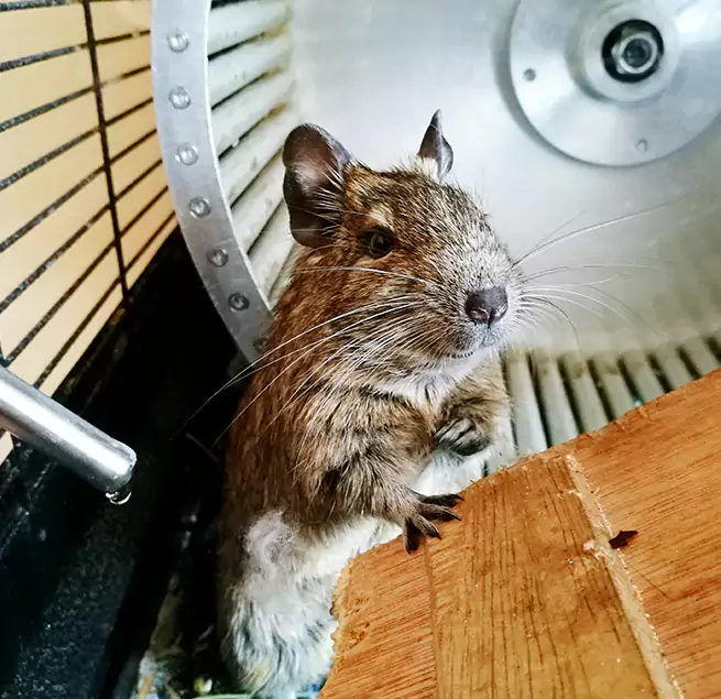 Why Homeowners & Businesses Trust Us Buffalo, MN