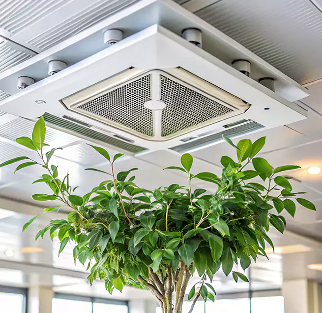 Why Homeowners & Businesses Trust Us in Buffalo, MN