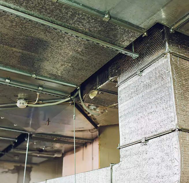 Why Homeowners & Businesses Trust Us in Buffalo, MN?